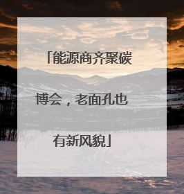 能源商齐聚碳博会，老面孔也有新风貌