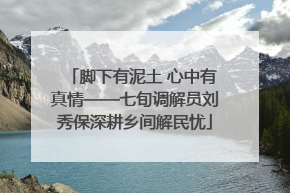 脚下有泥土 心中有真情——七旬调解员刘秀保深耕乡间解民忧