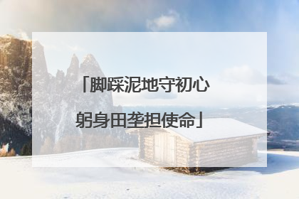 脚踩泥地守初心 躬身田垄担使命