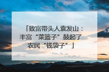致富带头人袁发山：丰富“菜篮子”鼓起了农民“钱袋子”