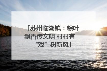 苏州临湖镇：粽叶飘香传文明 村村有“戏”树新风