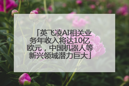 英飞凌AI相关业务年收入将达10亿欧元，中国机器人等新兴领域潜力巨大