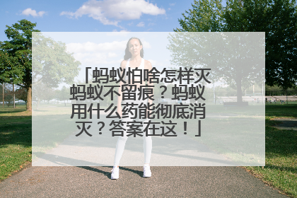 蚂蚁怕啥怎样灭蚂蚁不留痕？蚂蚁用什么药能彻底消灭？答案在这！