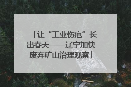 让“工业伤疤”长出春天——辽宁加快废弃矿山治理观察