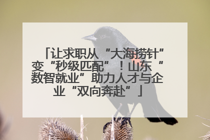 让求职从“大海捞针”变“秒级匹配”！山东“数智就业”助力人才与企业“双向奔赴”