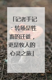 记者手记：转场是牲畜的迁徙，更是牧人的心灵之旅