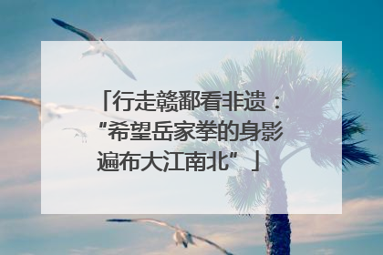 行走赣鄱看非遗：“希望岳家拳的身影遍布大江南北”