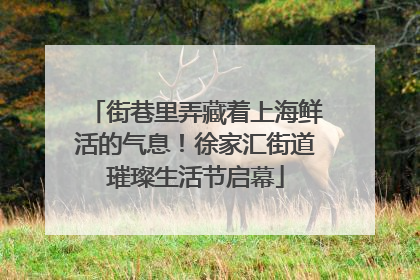 街巷里弄藏着上海鲜活的气息！徐家汇街道璀璨生活节启幕
