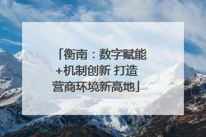 衡南：数字赋能+机制创新 打造营商环境新高地