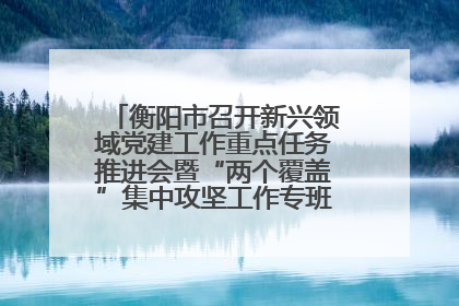 衡阳市召开新兴领域党建工作重点任务推进会暨“两个覆盖”集中攻坚工作专班 第一次会议