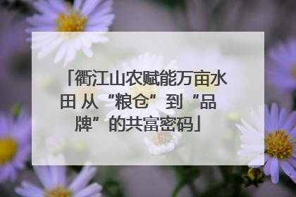衢江山农赋能万亩水田 从“粮仓”到“品牌”的共富密码
