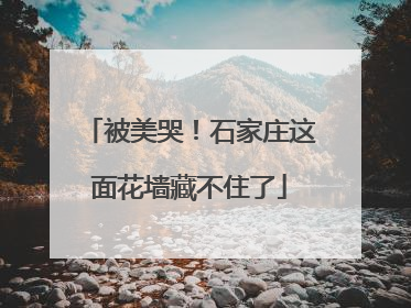 被美哭！石家庄这面花墙藏不住了