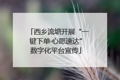 西乡流塘开展“一键下单·心愿速达”数字化平台宣传