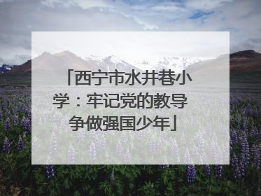 西宁市水井巷小学：牢记党的教导 争做强国少年