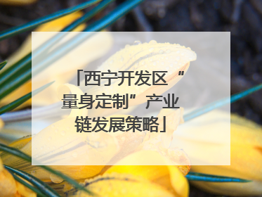 西宁开发区“量身定制”产业链发展策略