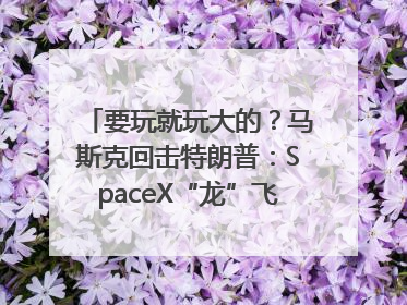 要玩就玩大的？马斯克回击特朗普：SpaceX“龙”飞船将立即退役！