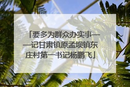要多为群众办实事——记甘肃镇原孟坝镇东庄村第一书记杨鹏飞