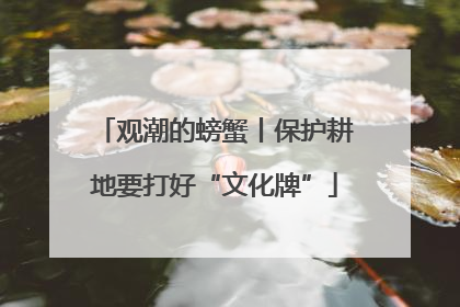 观潮的螃蟹丨保护耕地要打好“文化牌”