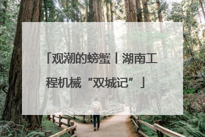 观潮的螃蟹丨湖南工程机械“双城记”