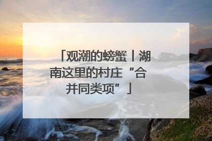 观潮的螃蟹丨湖南这里的村庄“合并同类项”