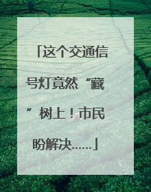 这个交通信号灯竟然“藏”树上！市民盼解决……
