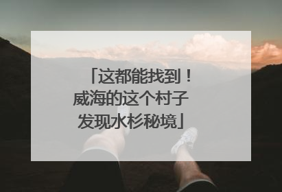 这都能找到！威海的这个村子发现水杉秘境