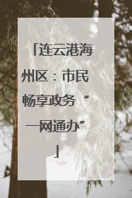 连云港海州区：市民畅享政务“一网通办”