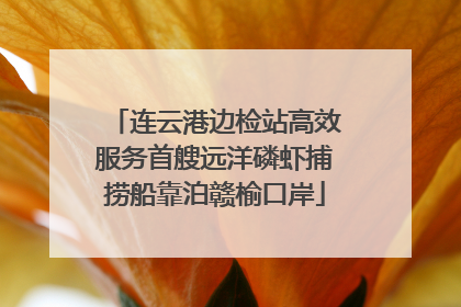 连云港边检站高效服务首艘远洋磷虾捕捞船靠泊赣榆口岸