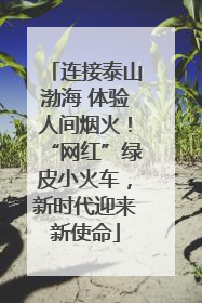 连接泰山渤海 体验人间烟火！“网红”绿皮小火车，新时代迎来新使命