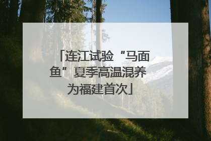 连江试验“马面鱼”夏季高温混养 为福建首次