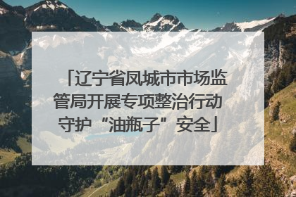 辽宁省凤城市市场监管局开展专项整治行动守护“油瓶子”安全