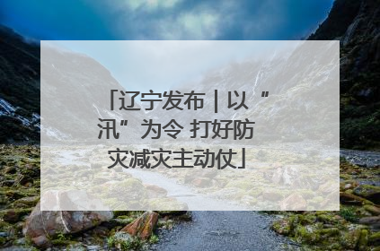 辽宁发布｜以“汛”为令 打好防灾减灾主动仗