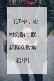 辽宁：农村公路串联起群众致富希望