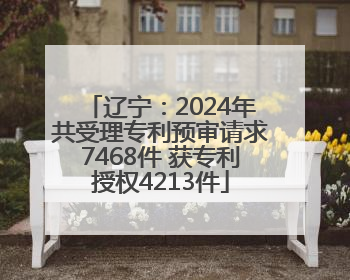 辽宁：2024年共受理专利预审请求7468件 获专利授权4213件