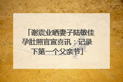 谢震业晒妻子陆敏佳孕肚照官宣喜讯：记录下第一个父亲节