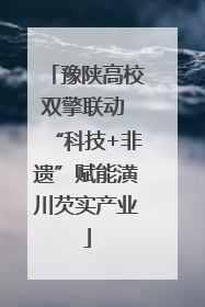 豫陕高校双擎联动 “科技+非遗”赋能潢川芡实产业