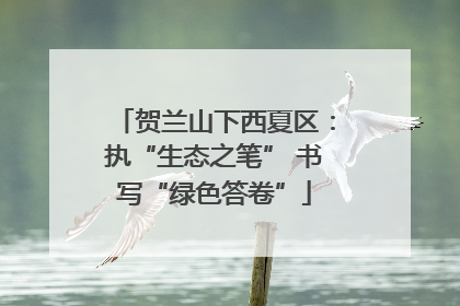 贺兰山下西夏区：执“生态之笔” 书写“绿色答卷”