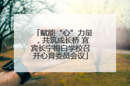 赋能“心”力量，共筑成长桥 宜宾长宁梅白学校召开心育委员会议