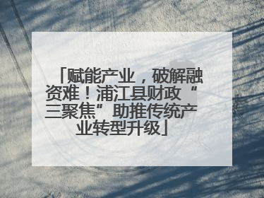 赋能产业，破解融资难！浦江县财政“三聚焦”助推传统产业转型升级