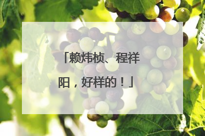 赖炜桢、程祥阳，好样的！