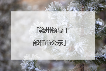 赣州领导干部任前公示