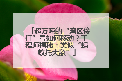 超万吨的“湾区伶仃”号如何移动？工程师揭秘：类似“蚂蚁托大象”