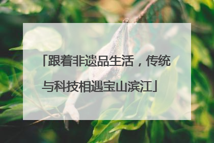跟着非遗品生活，传统与科技相遇宝山滨江