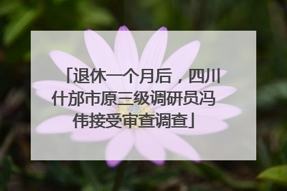 退休一个月后，四川什邡市原三级调研员冯伟接受审查调查