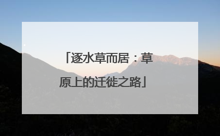 逐水草而居：草原上的迁徙之路