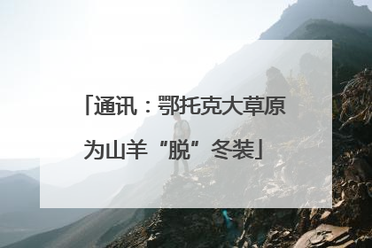 通讯：鄂托克大草原为山羊“脱”冬装