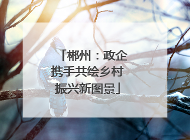 郴州：政企携手共绘乡村振兴新图景