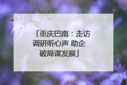 重庆巴南：走访调研听心声 助企破局谋发展