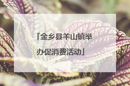 金乡县羊山镇举办促消费活动