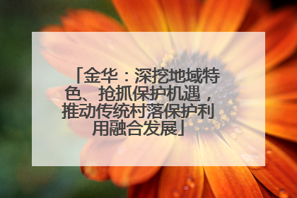金华：深挖地域特色、抢抓保护机遇，推动传统村落保护利用融合发展